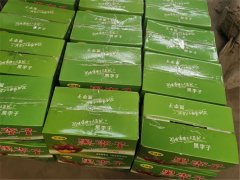 8月10日，商丘利菲爾特開展高溫送清涼活動